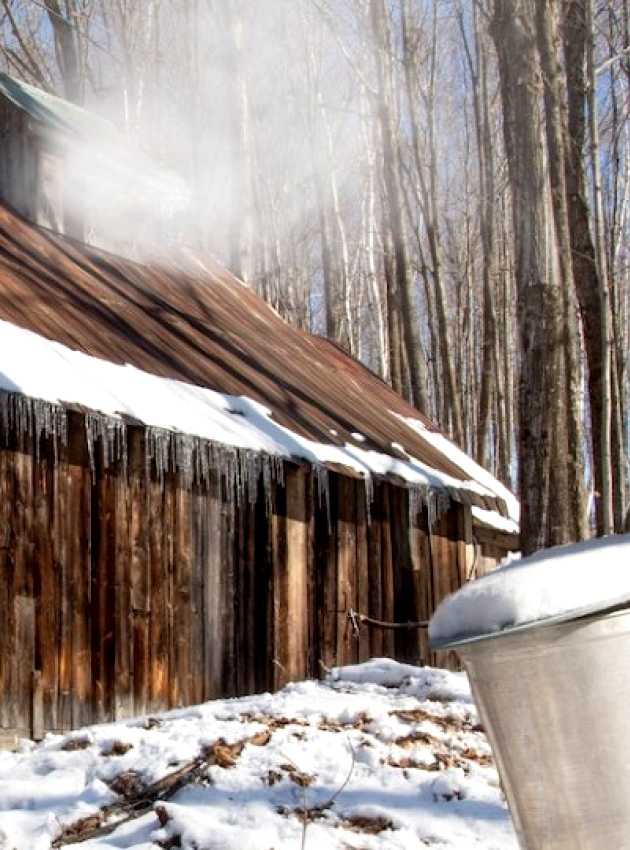 Cabane à sucre