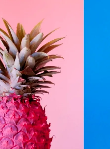 ananas rose et ananas bleu 
