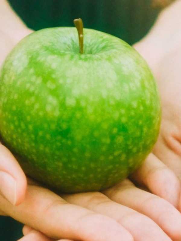 Une pomme verte sur la paume des mains