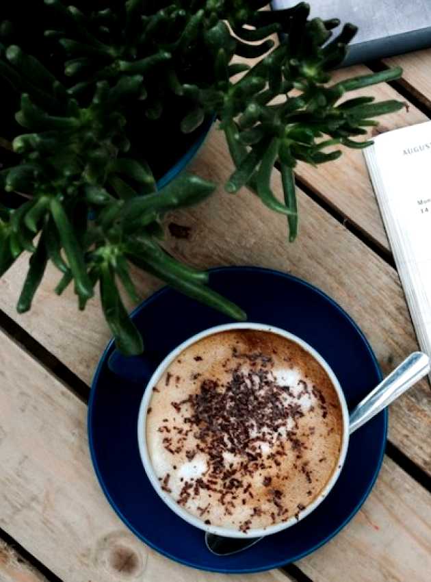 Un agenda, un café et une plante sur une table en bois