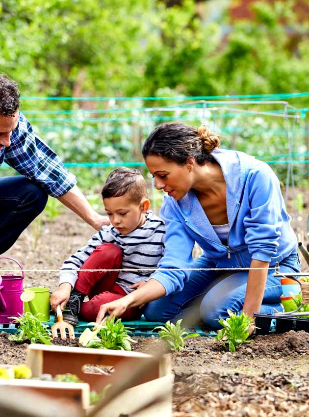 Mother and son in vegetable garden - Mère et fils dans le jardin