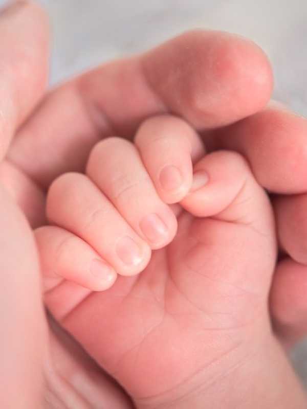 Main d'un bébé dans la main de sa mère