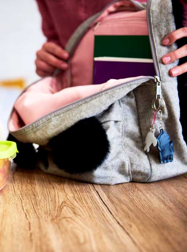 A young girl with an apple, packing a healthy lunch with a sandwich and tomatoes - Une jeune fille avec une pomme, préparant un lunch sain avec un sandwich et des tomates