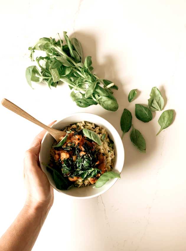 Orzo au brocoli et au faux porc effiloché (fruit du jacquier)