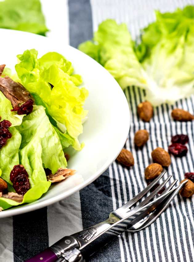 Duck Salad with Almonds and Cranberries 