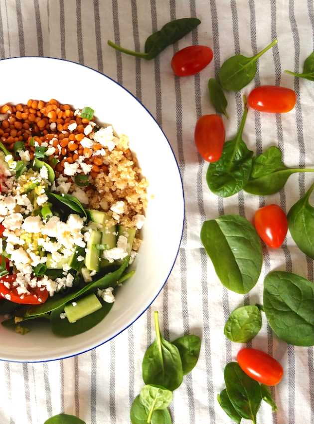 Salade vide frigo